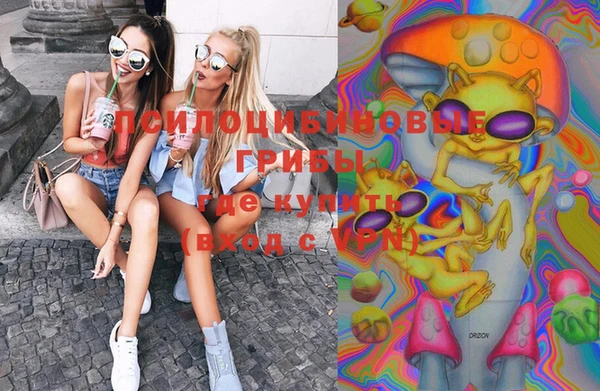 МДПВ Абинск
