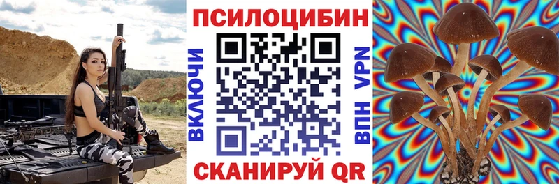 Псилоцибиновые грибы GOLDEN TEACHER  продажа наркотиков  kraken как войти  Бобров 